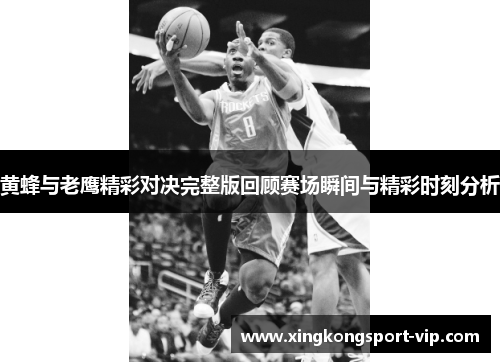 黄蜂与老鹰精彩对决完整版回顾赛场瞬间与精彩时刻分析